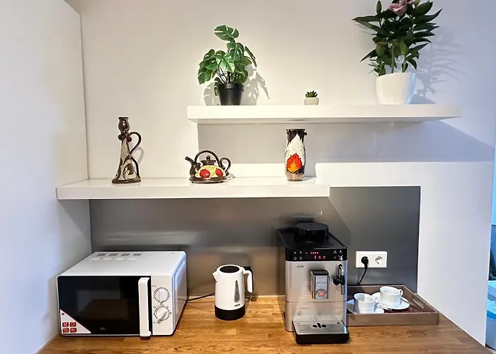 Greennest Retreat & Parking 3* سالزبورغ