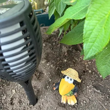 Greennest Retreat & Parking 招待所 萨尔茨堡